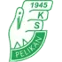 Pelikan Lowicz Football Team Results