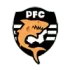 Puntarenas Football Team Results
