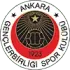 Genclerbirligi Football Team Results