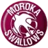 Moroka Swallows Football Team Results