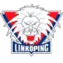 Linköpings FC Women Football Team Results