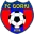 FC Gorki Football Team Results