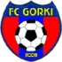 FC Gorki Football Team Results