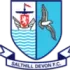 Salthill Devon Football Team Results