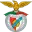 Benfica B Football Team Results