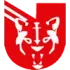 UES Football Team Results