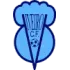 Viveiro CF Football Team Results