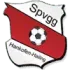 SpVgg Hankofen-Hailing Football Team Results