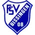 FSV 08 Bissingen Football Team Results