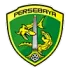 Persebaya Surabaya Football Team Results