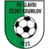 Slavoj Cesky Krumlov Football Team Results