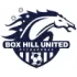 Box Hill United Football Team Results