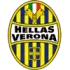 Hellas Verona U19 Football Team Results