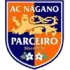 Parceiro Nagano Football Team Results