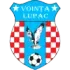 AFC Vointa Lupac Football Team Results