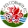 Corwen Football Team Results