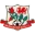 Aberbargoed Buds Football Team Results
