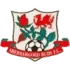 Aberbargoed Buds Football Team Results