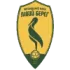 FC Livyi Bereh Football Team Results