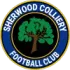 Sherwood Colliery Football Team Results