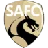 Saint-Amand Football Team Results