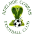 Adelaide Cobras Football Team Results