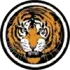 Eastern Suburbs Football Team Results