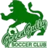 Green Gully Football Team Results