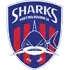 Port Melbourne SC Football Team Results