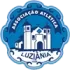 Luziania Football Team Results