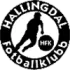 Hallingdal Football Team Results