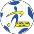 SC Golling Football Team Results