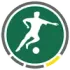 SV Strasswalchen Football Team Results