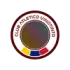 Club Atletico Vinotinto Football Team Results